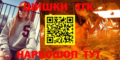 крисы Будённовск